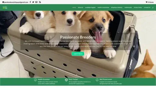Screenshot of