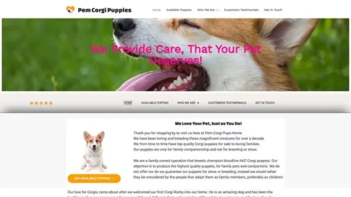 Screenshot of
