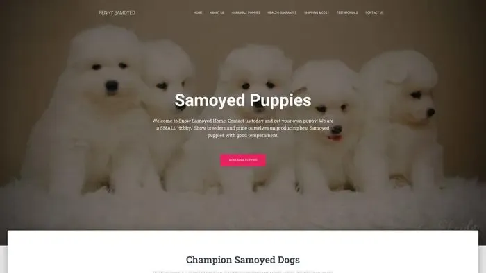 Screenshot of