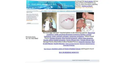 Screenshot of