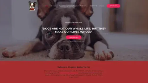 Screenshot of