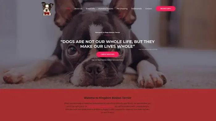 Screenshot of