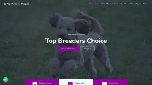 Screenshot of