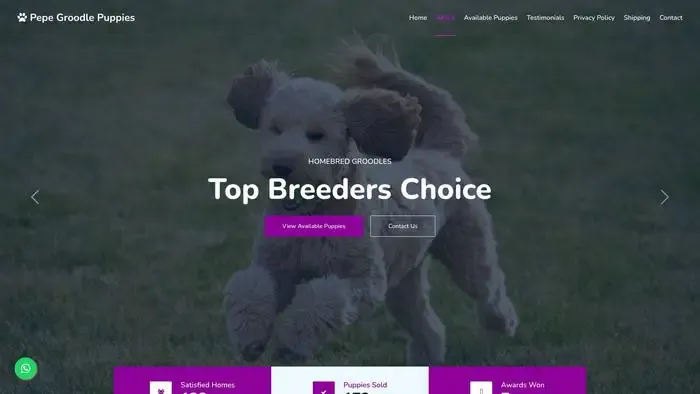 Screenshot of