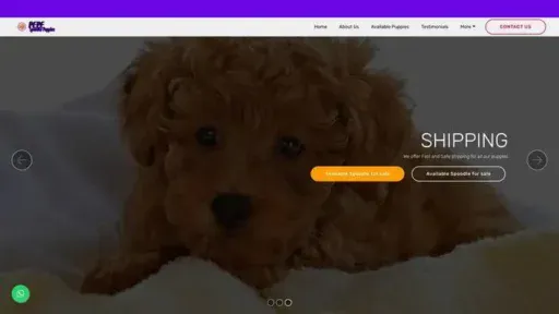 Screenshot of