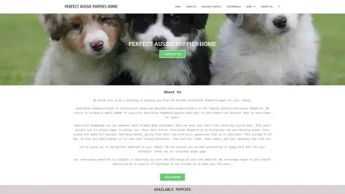 Screenshot of