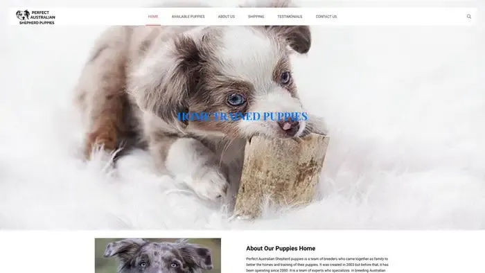 Screenshot of