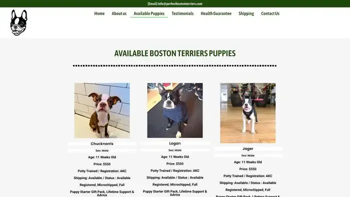 Screenshot of
