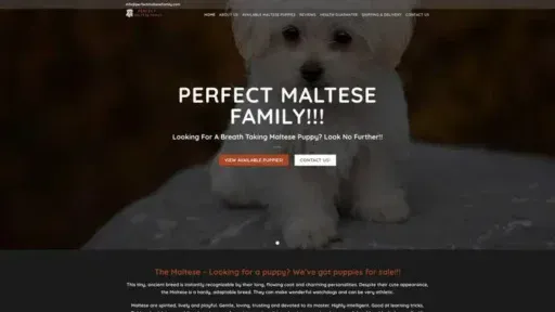 Screenshot of