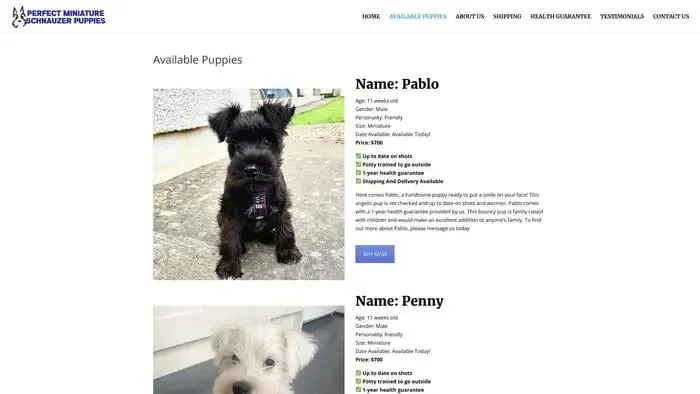 Screenshot of