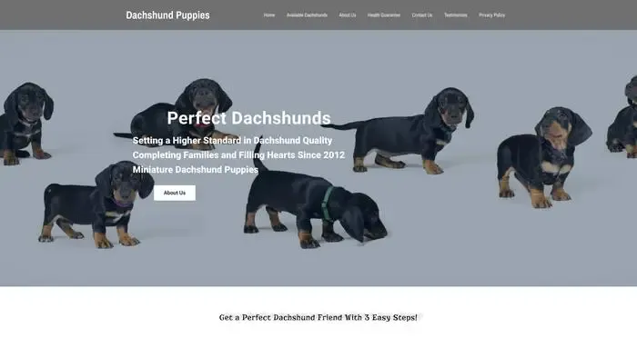 Screenshot of