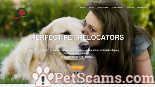 Screenshot of