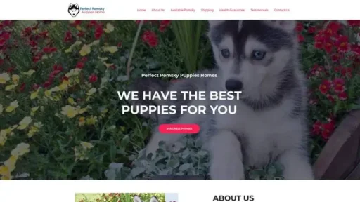 Screenshot of