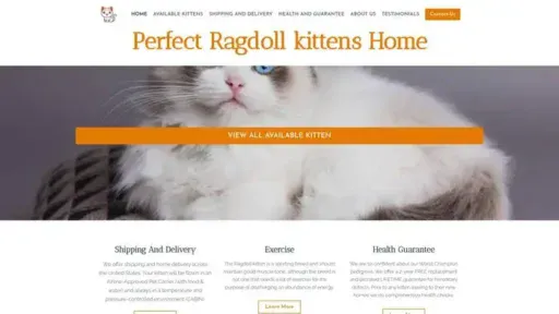Screenshot of