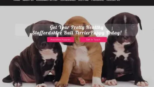 Screenshot of