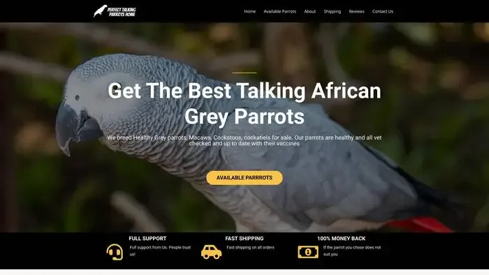Screenshot of