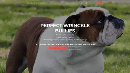 Screenshot of