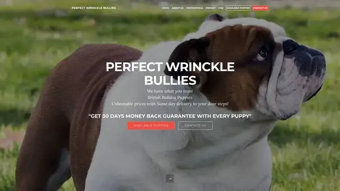 Screenshot of