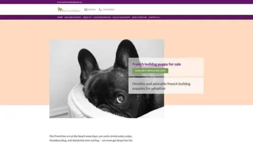 Screenshot of