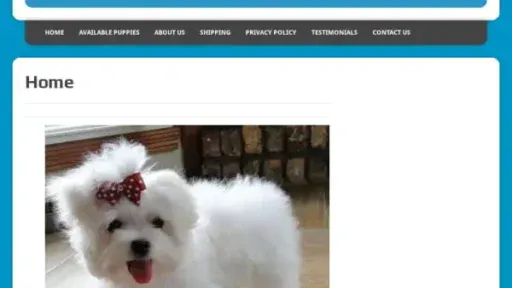 Screenshot of