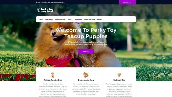 Screenshot of