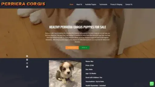 Screenshot of