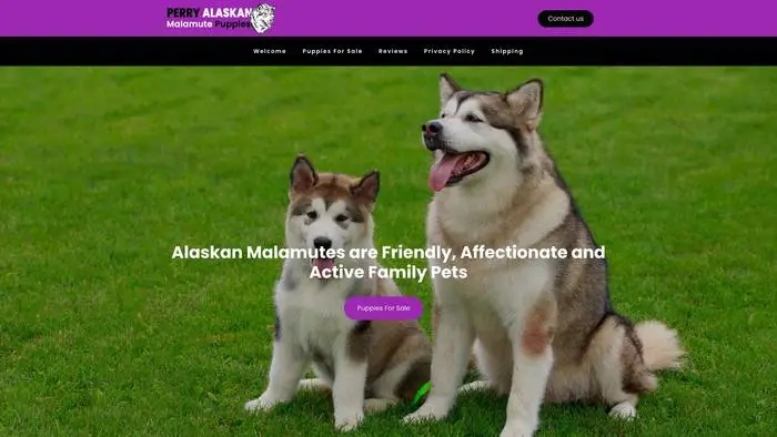 Screenshot of