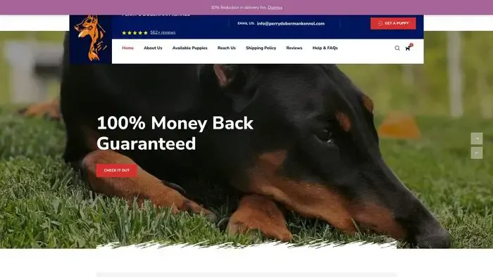 Screenshot of
