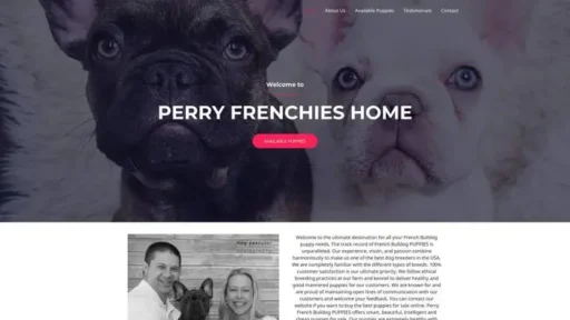 Screenshot of