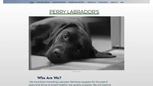 Screenshot of