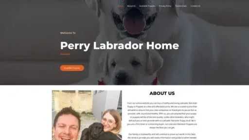 Screenshot of