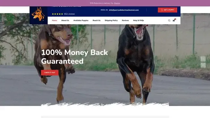 Screenshot of