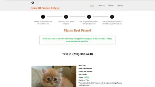 Screenshot of