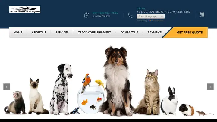 Screenshot of