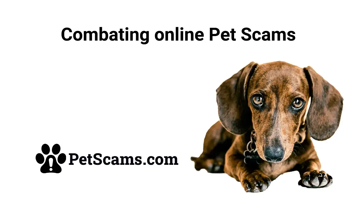 PetScams-com-featured-image