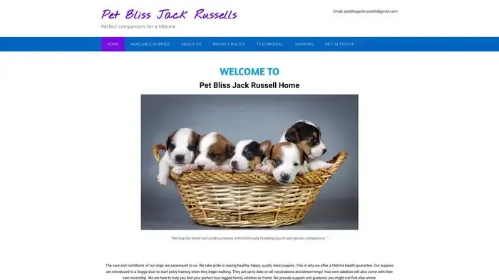 Screenshot of