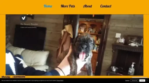 Screenshot of