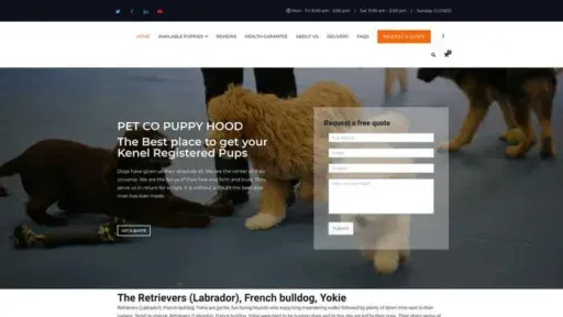 Screenshot of