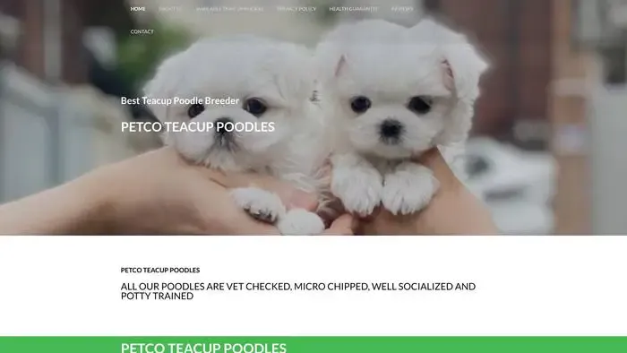 Screenshot of