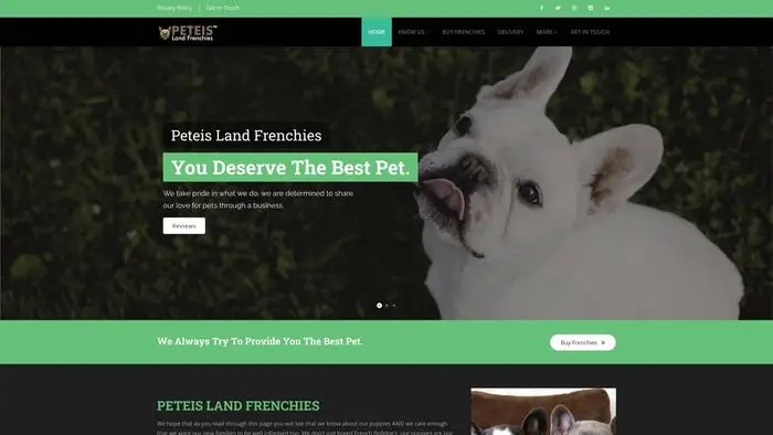 Screenshot of