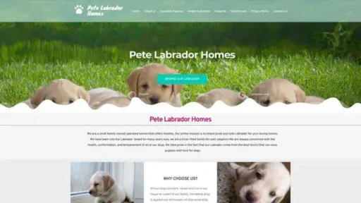 Screenshot of
