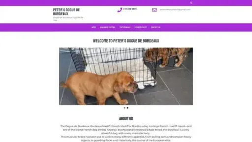Screenshot of