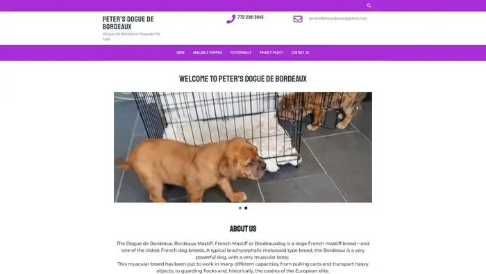 Screenshot of