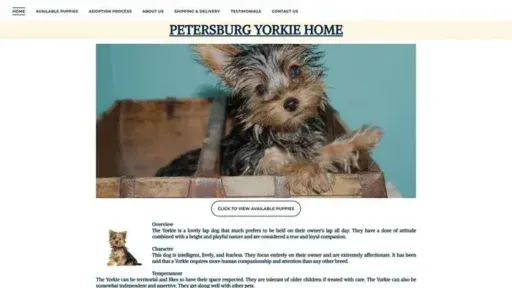 Screenshot of