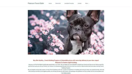 Screenshot of