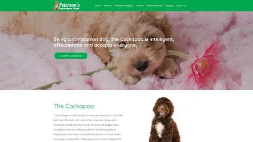 Screenshot of