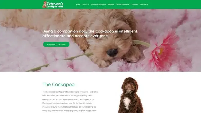 Screenshot of