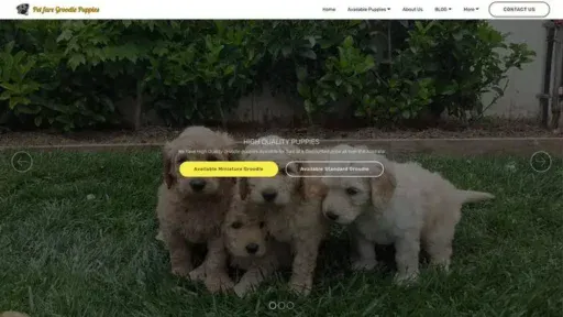 Screenshot of