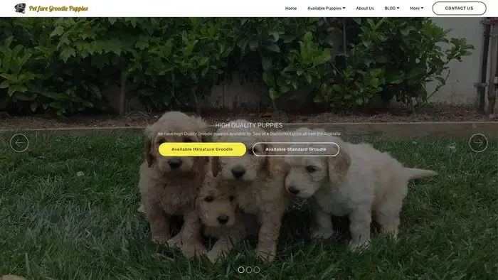 Screenshot of