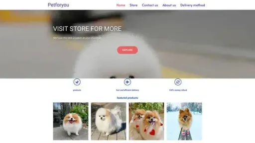 Screenshot of